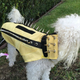 Illustration for article titled Turn Your Dog Into a Punk Porcupine Weapon With This Anti-Coyote Kevlar Vest